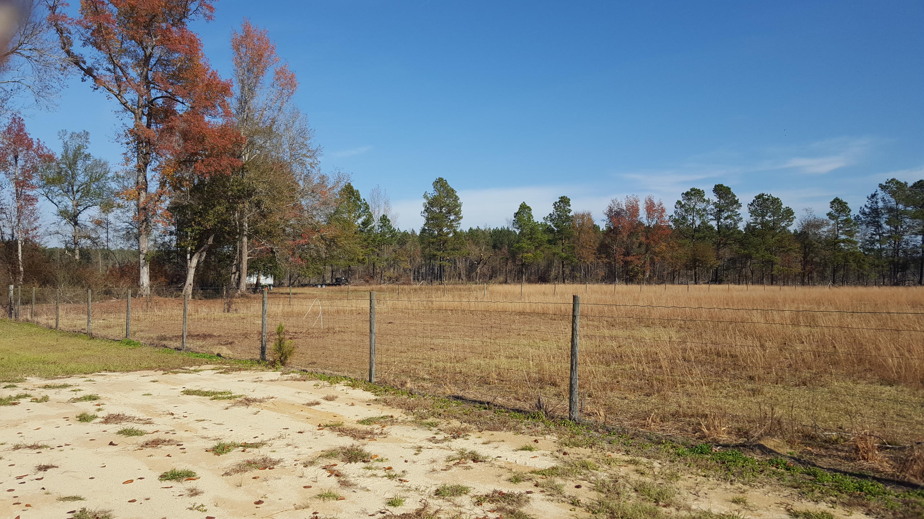 468 Strickland Farm Road Smoaks, SC 29481 - Photo 53 of 71 350