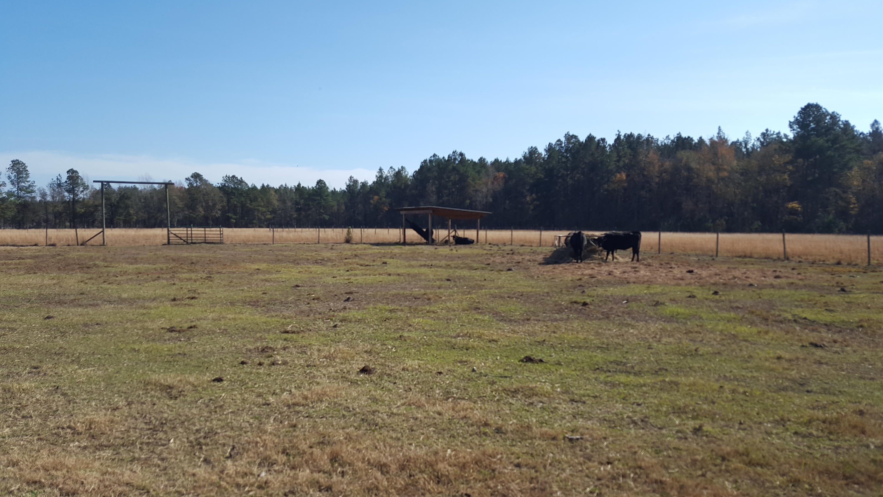 468 Strickland Farm Road Smoaks, SC 29481 - Photo 7 of 71 389