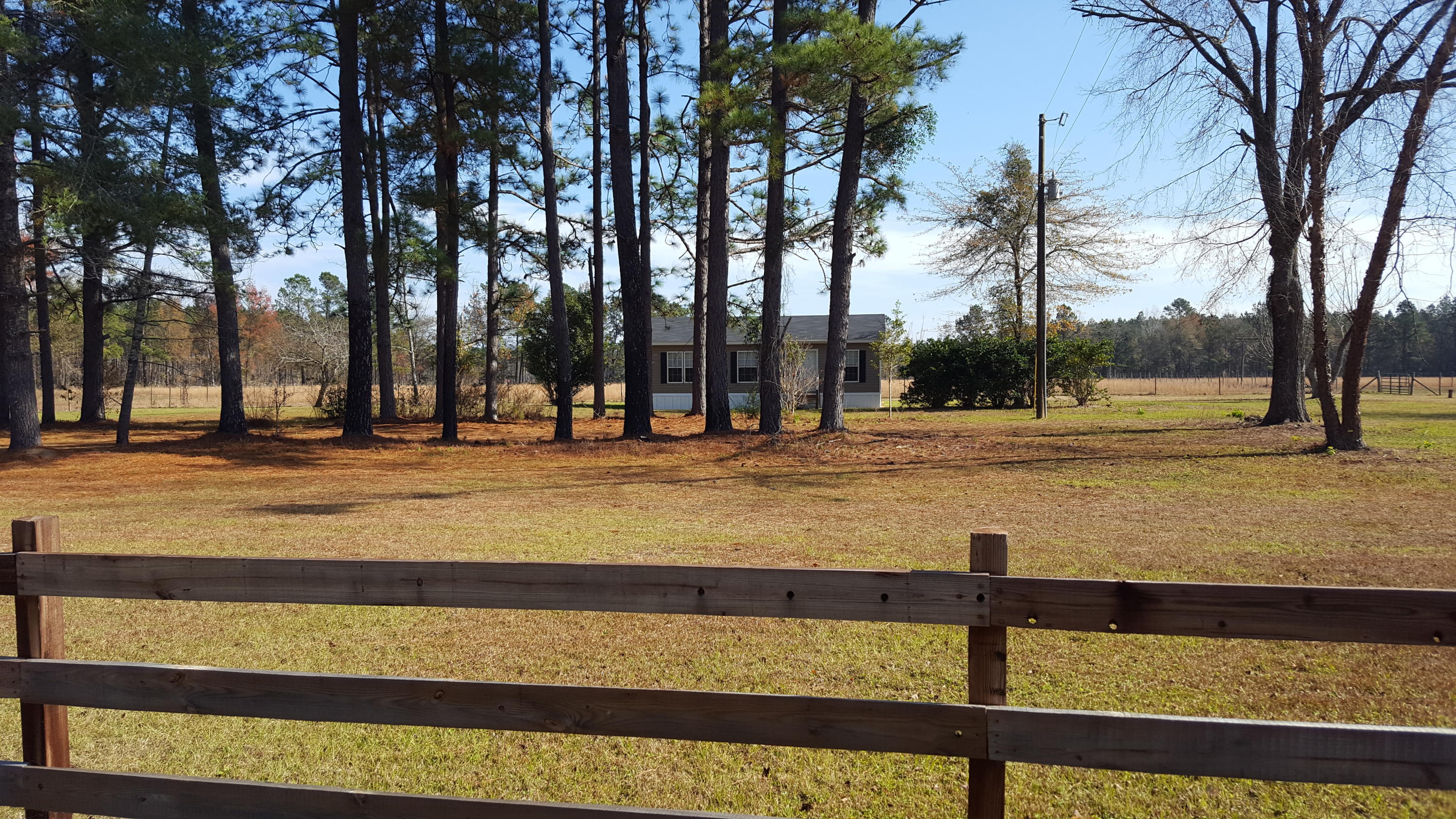 468 Strickland Farm Road Smoaks, SC 29481 - Photo 61 of 71 342
