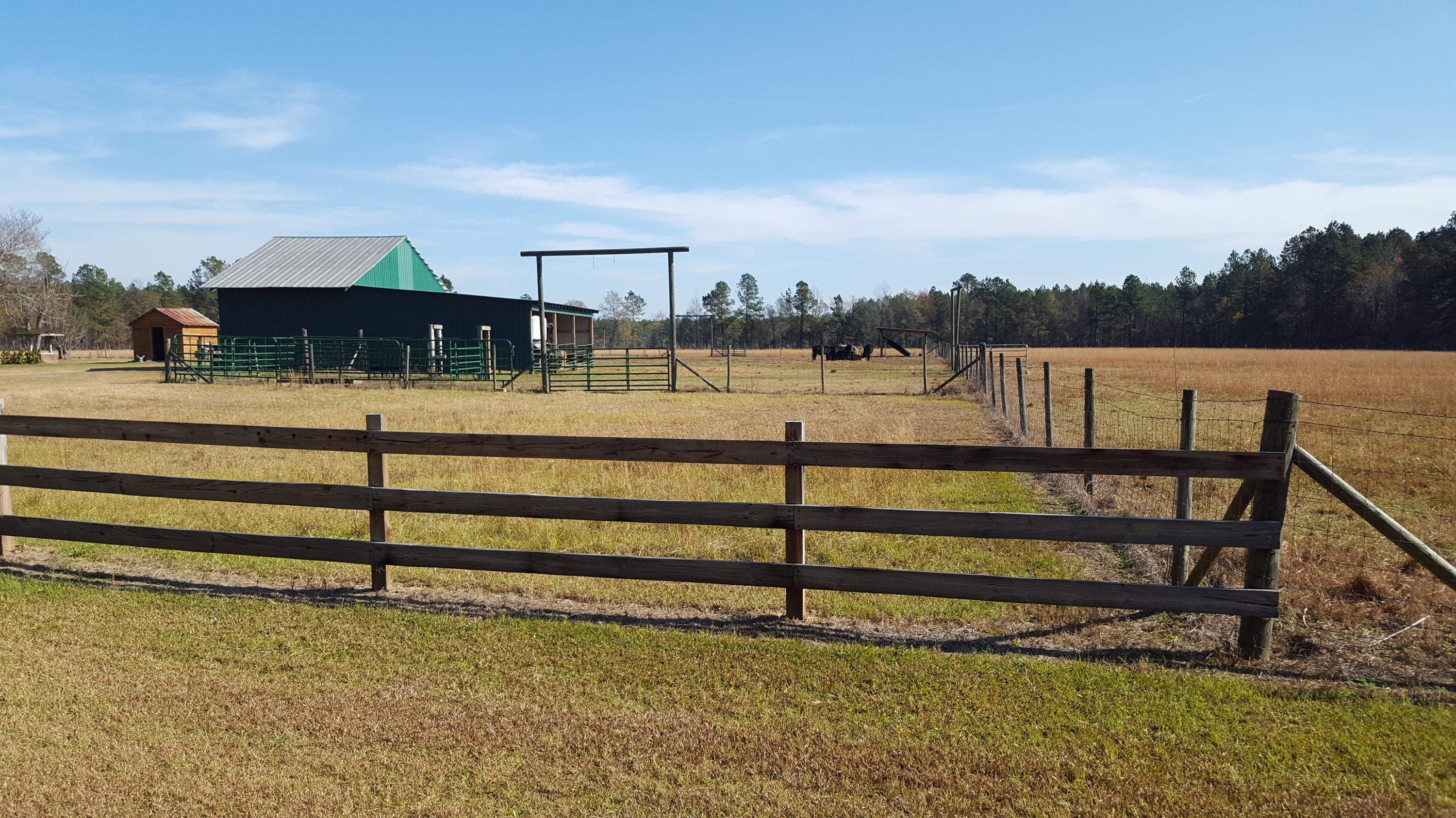 468 Strickland Farm Road Smoaks, SC 29481 - Photo 63 of 71 337