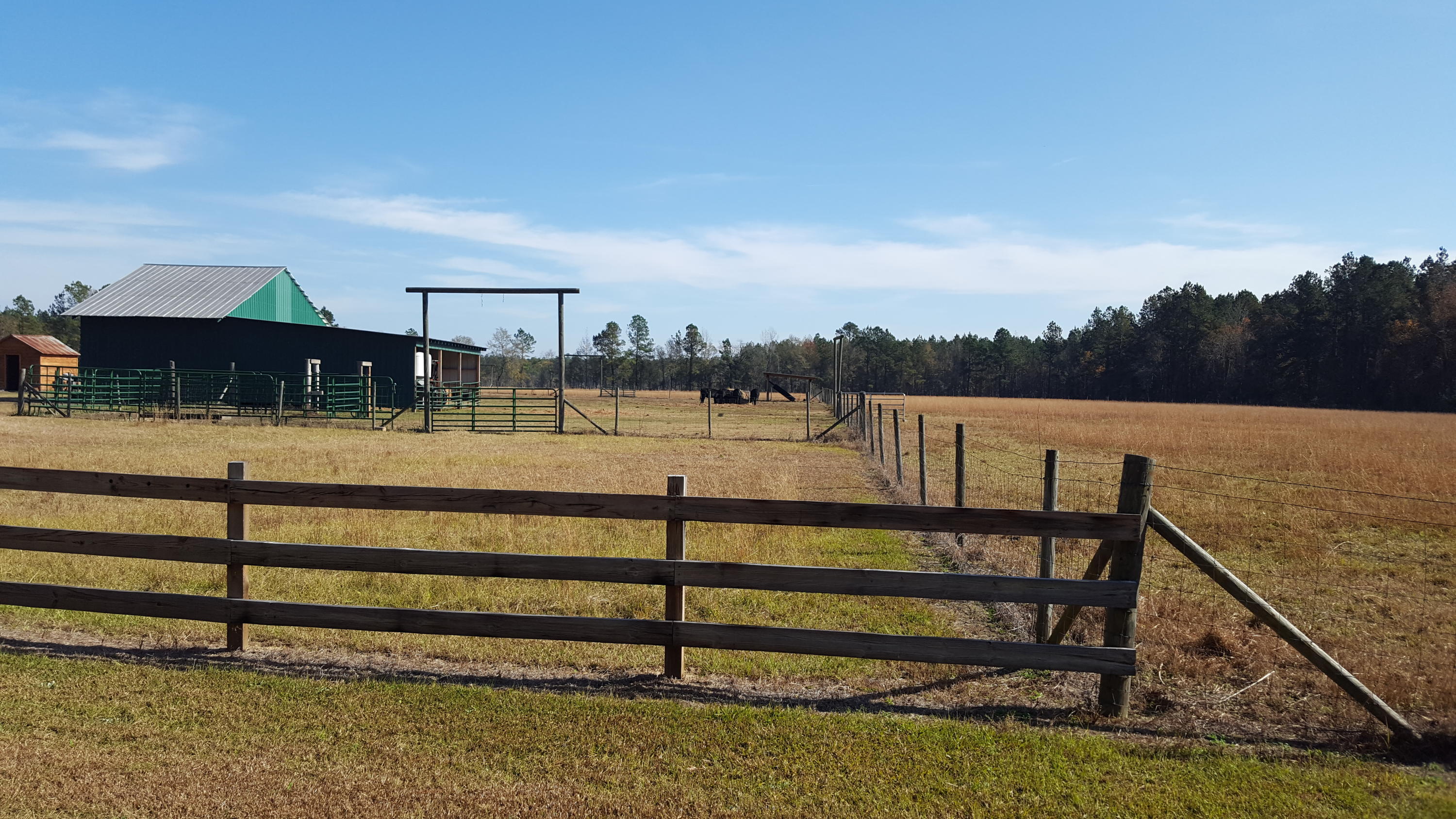 468 Strickland Farm Road Smoaks, SC 29481 - Photo 64 of 71 316