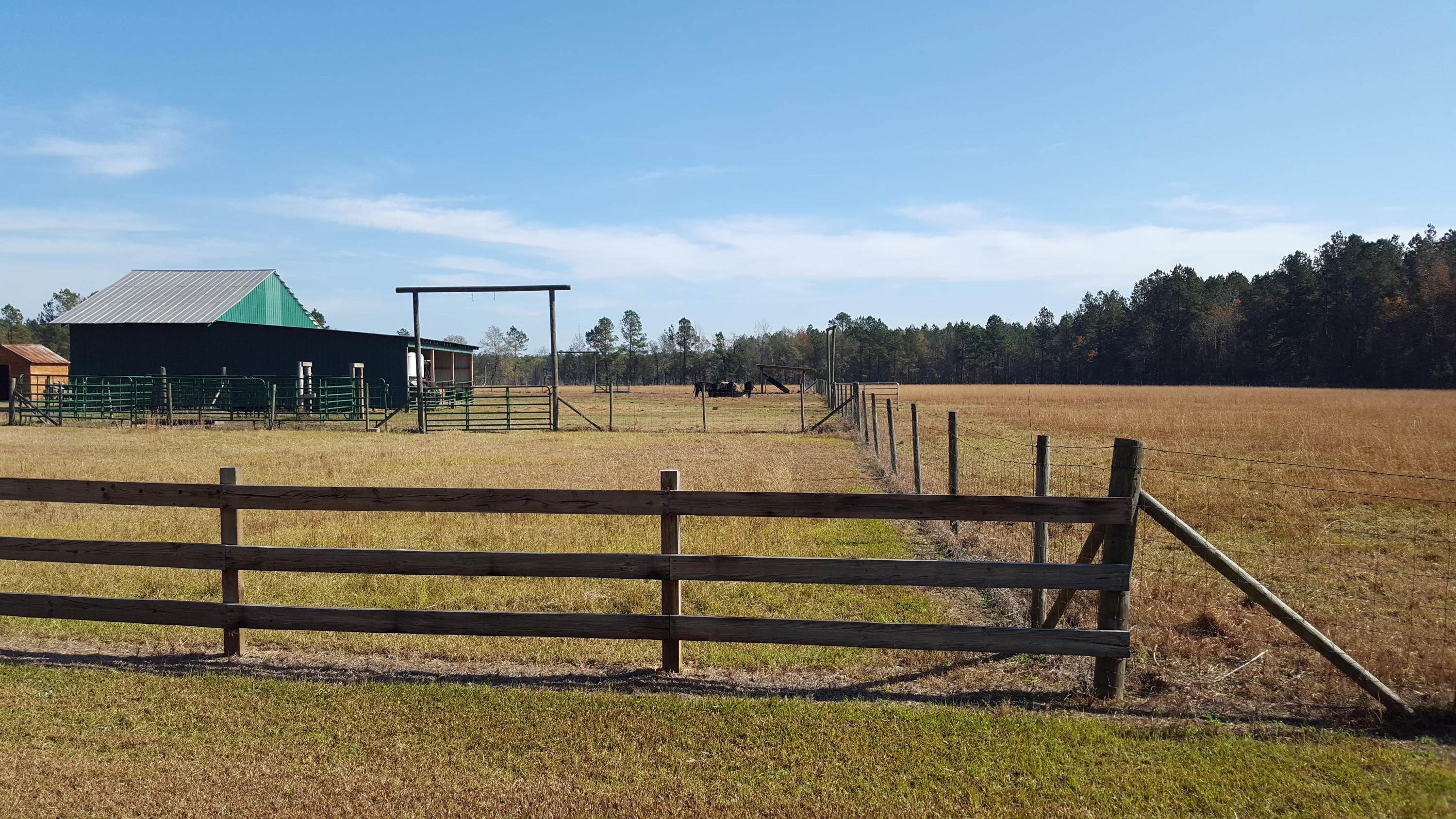 468 Strickland Farm Road Smoaks, SC 29481 - Photo 66 of 71 293