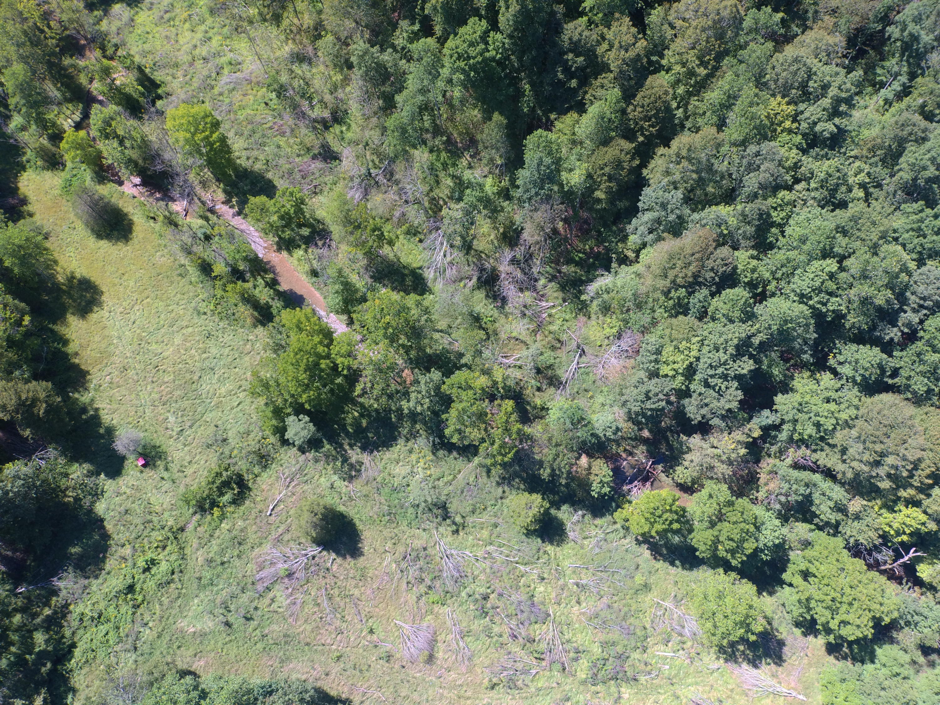 1555 Pleasant Point School Road Waynesburg, KY 40489 - Photo 54 of 58 Drone Overview