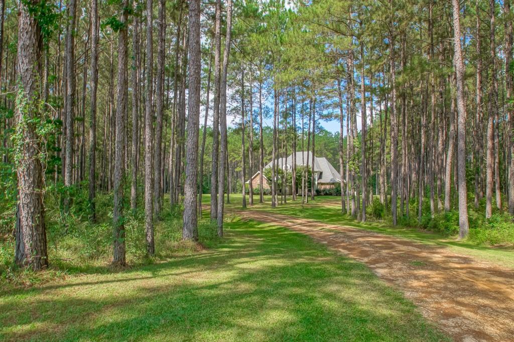 19167 Petit Road Franklinton, LA 70438 - Photo 2 of 28 Gallery Image 2