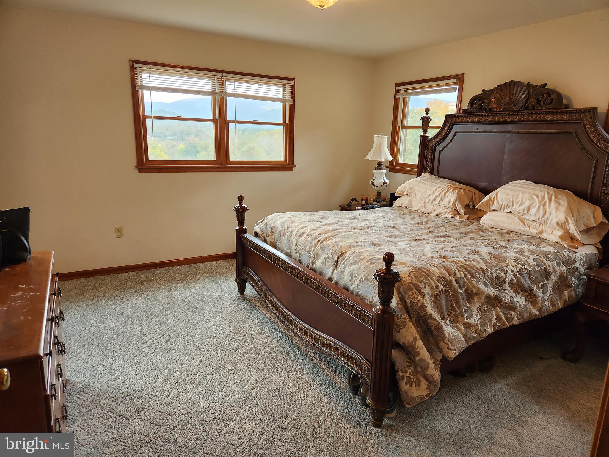 372 Tiger Valley Road Washington, VA 22747 - Photo 24 of 64 Gallery Image 24