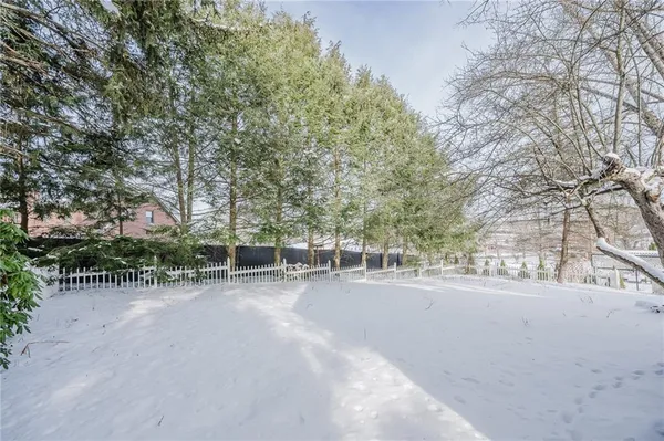 an outdoor space with lots of trees