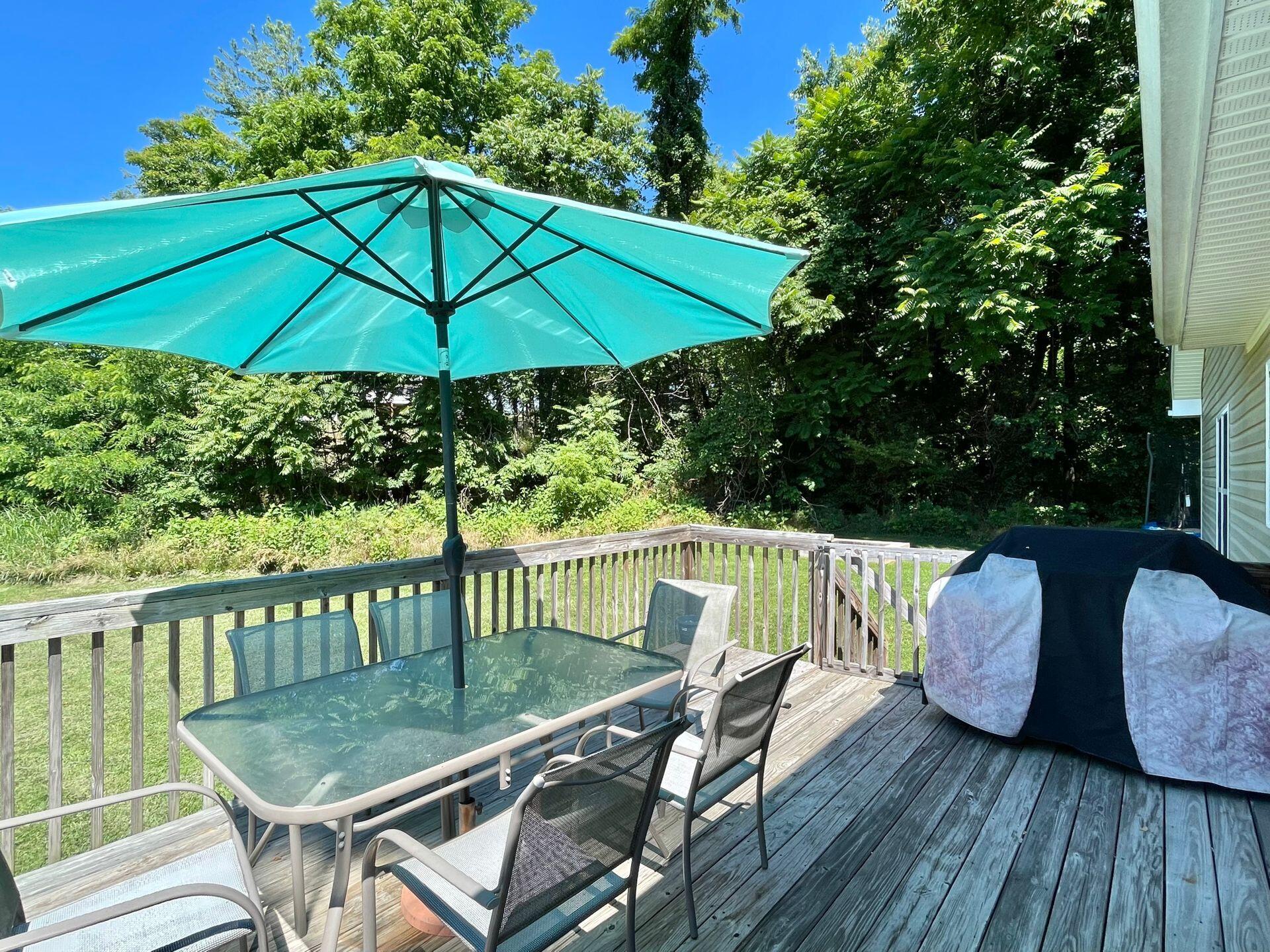 51 Fields Avenue Blue Ridge, VA 24064 - Photo 53 of 69 Deck