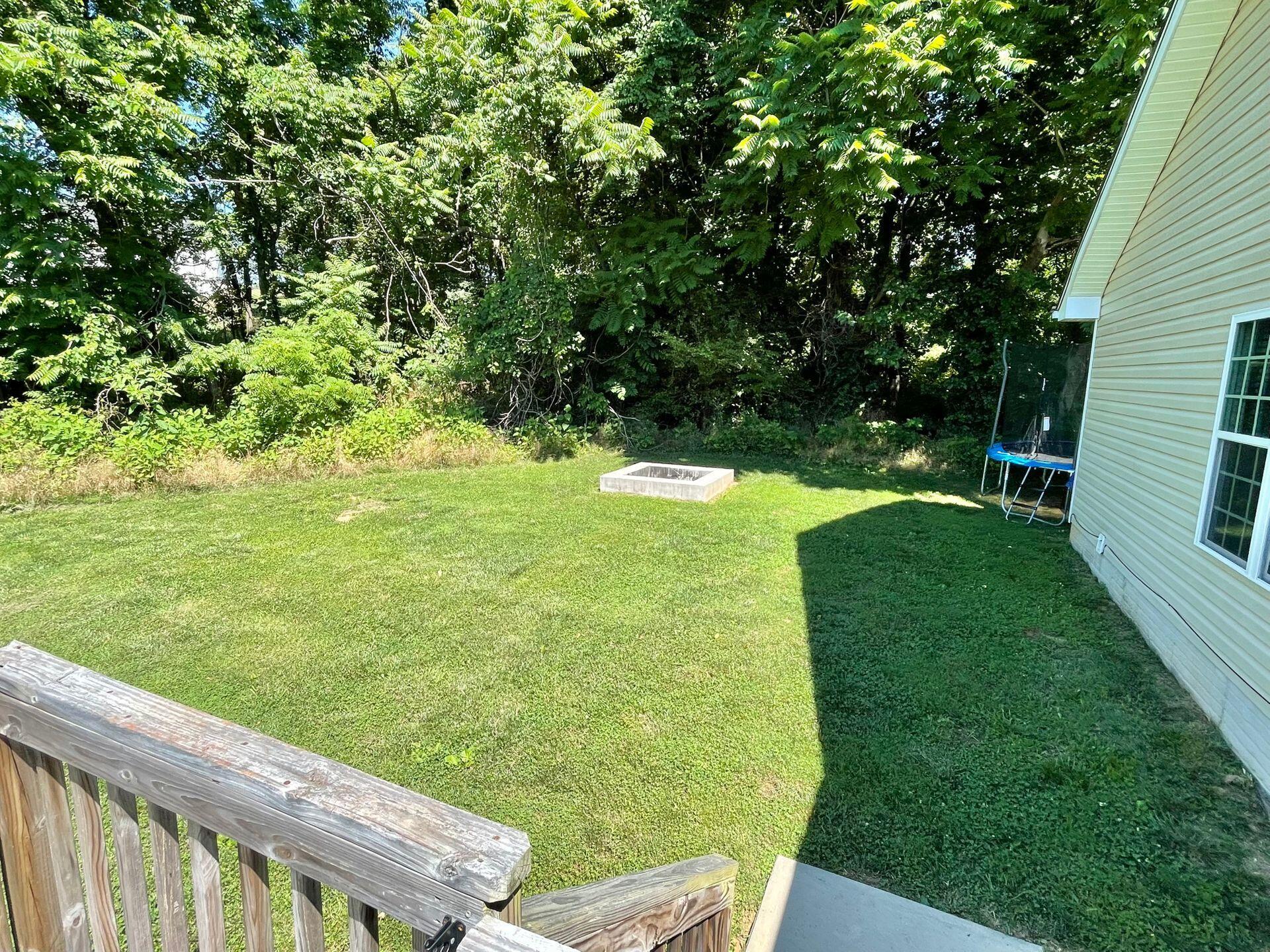 51 Fields Avenue Blue Ridge, VA 24064 - Photo 55 of 69 Back Yard