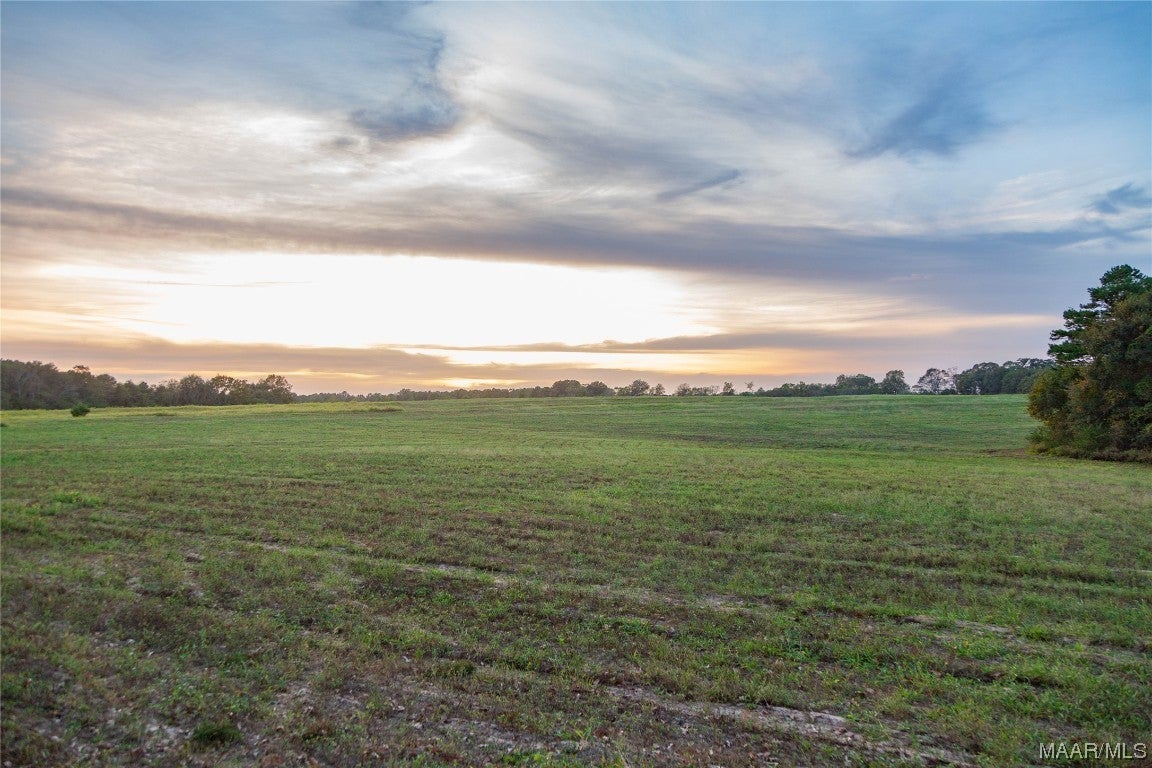 337 County Road 337 Brantley, AL 36009 - Photo 17 of 36 Gallery Image 17