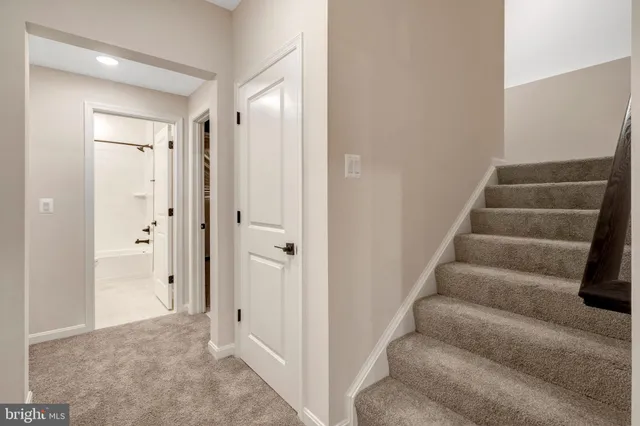 a grassy field with a tree in the background