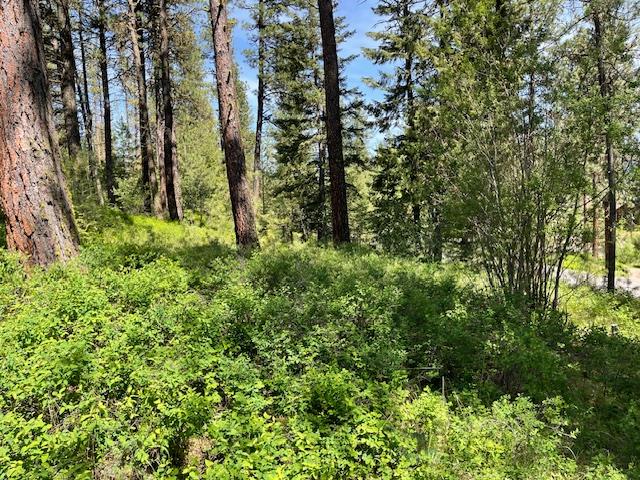 Lot 23 Hot Springs Road, Unit 23 New Meadows, ID 83654 - Photo 1 of 10 Main View