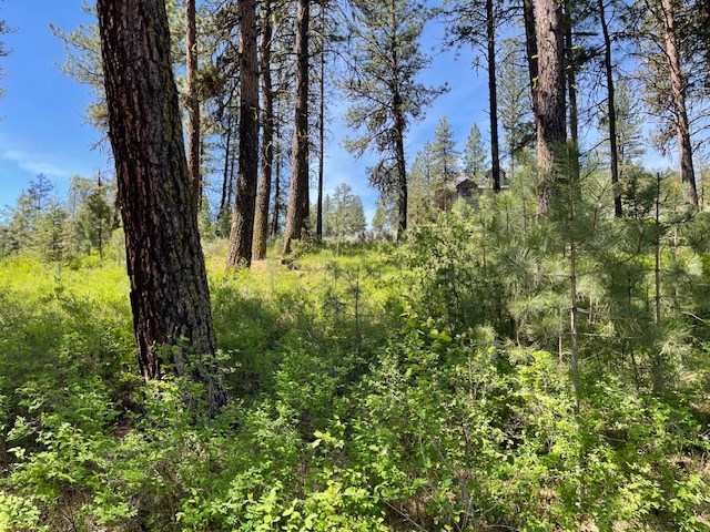 Lot 23 Hot Springs Road, Unit 23 New Meadows, ID 83654 - Photo 2 of 10