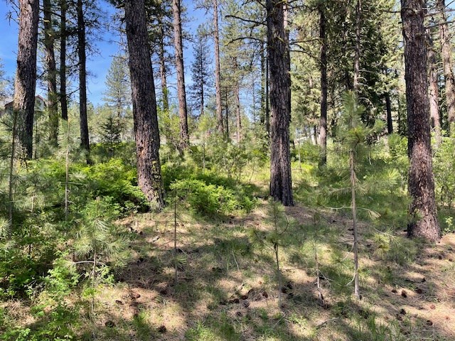 Lot 23 Hot Springs Road, Unit 23 New Meadows, ID 83654 - Photo 3 of 10