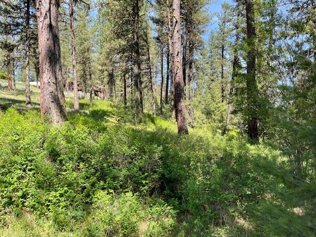 Lot 23 Hot Springs Road, Unit 23 New Meadows, ID 83654 - Photo 4 of 10