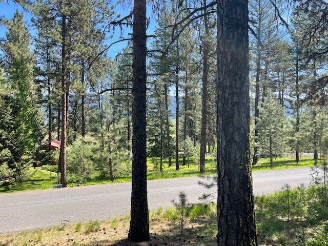 Lot 23 Hot Springs Road, Unit 23 New Meadows, ID 83654 - Photo 5 of 10