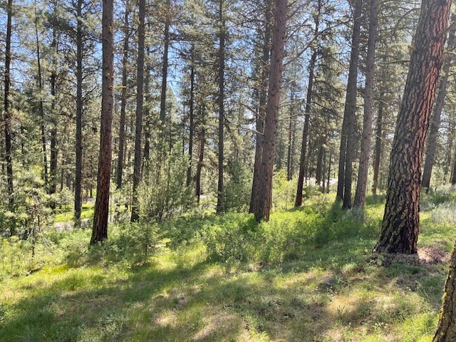 Lot 23 Hot Springs Road, Unit 23 New Meadows, ID 83654 - Photo 9 of 10