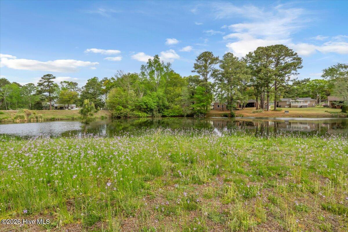 1069 River Drive Southwest Calabash, NC 28467 - Photo 55 of 75 59-Final 1069 River Dr SW-RJREM-6168