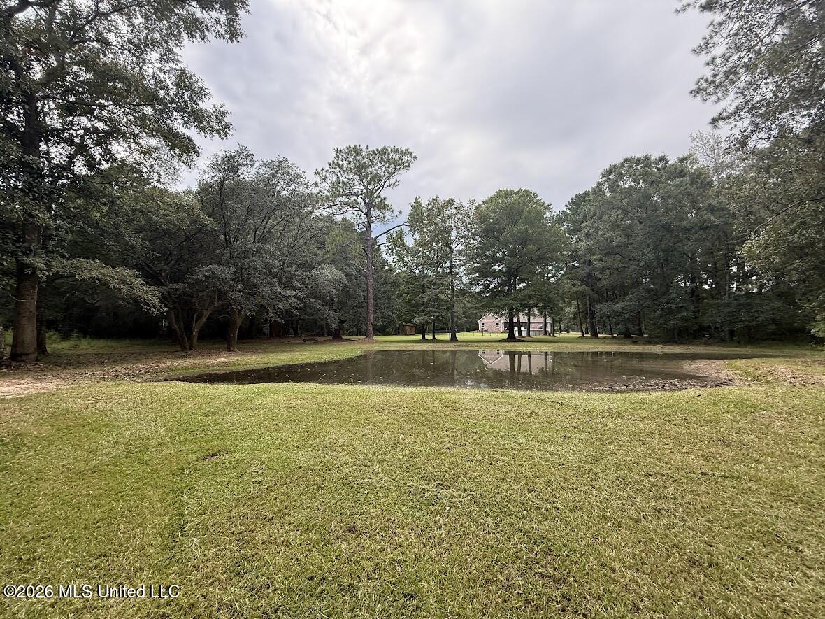 6211 Crump Road Kiln, MS 39556 - Photo 43 of 51 Pond