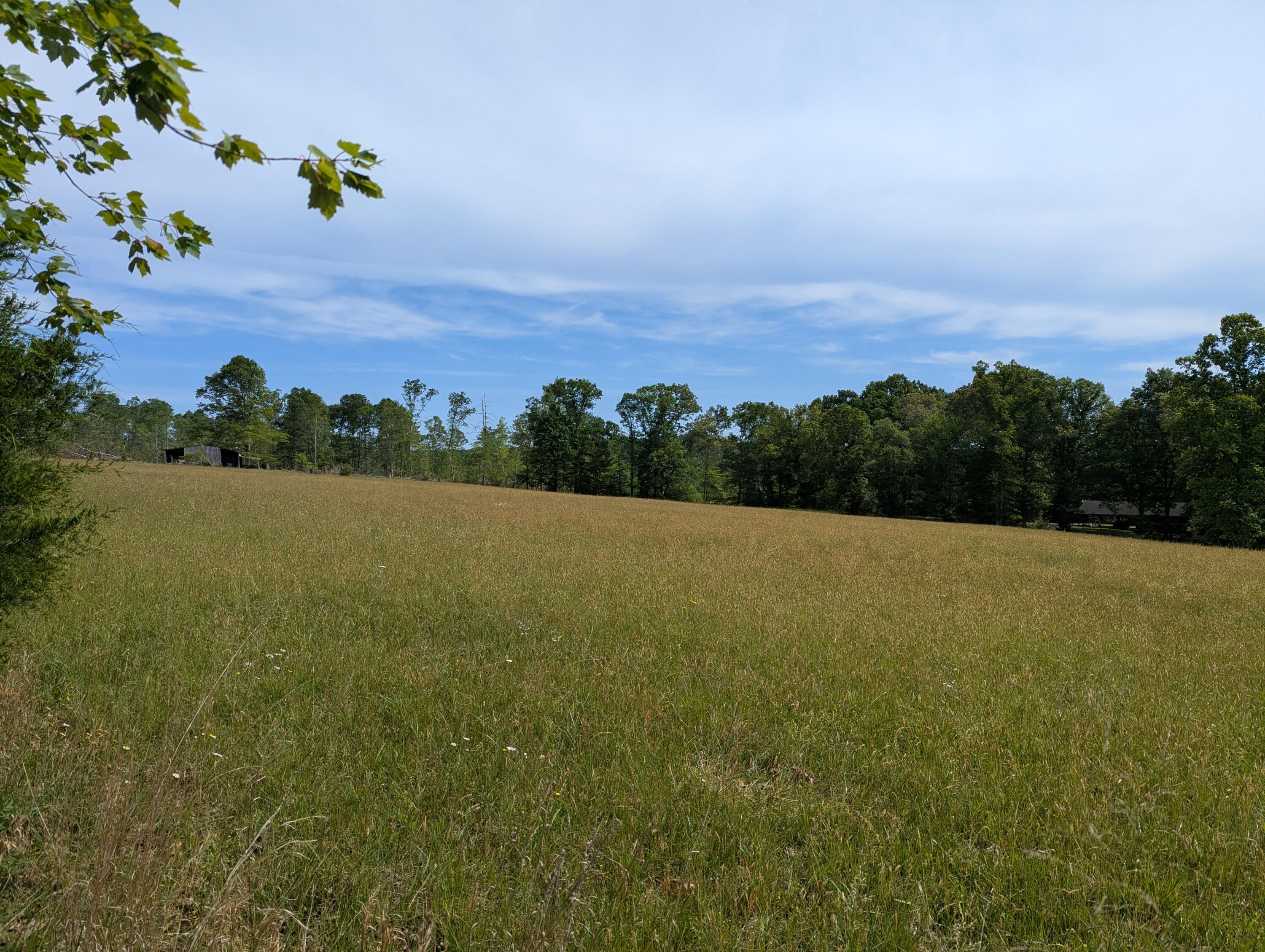 1115 Robin Ridge Road Henry, VA 24102 - Photo 36 of 45 PXL_20260530_142749280
