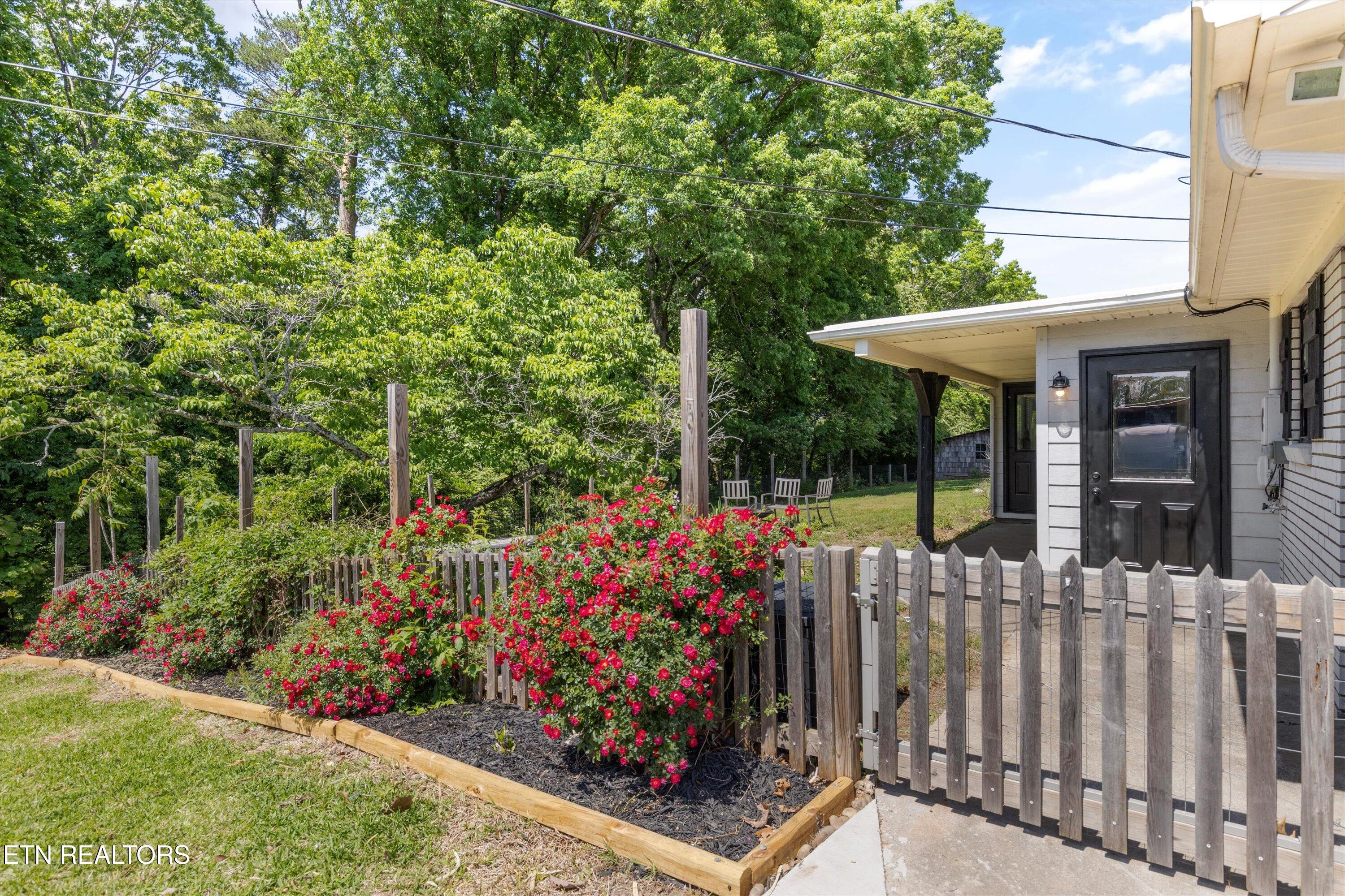 2412 Grey Ridge Road Maryville, TN 37801 - Photo 42 of 48 Fenced back yard