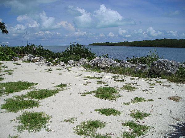 106 Redwing Road Tavernier, FL 33070 - Photo 5 of 10 Build YOUR Dream Home
