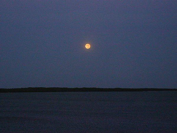 106 Redwing Road Tavernier, FL 33070 - Photo 10 of 10 Moonrise