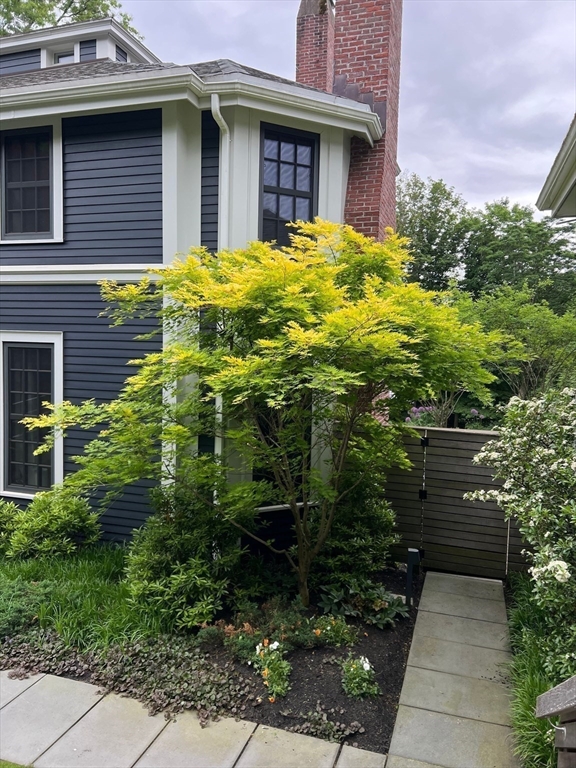 33 Leicester Street Brookline, MA 02445 - Photo 27 of 38 a view of brick house with a yard plants and large tree