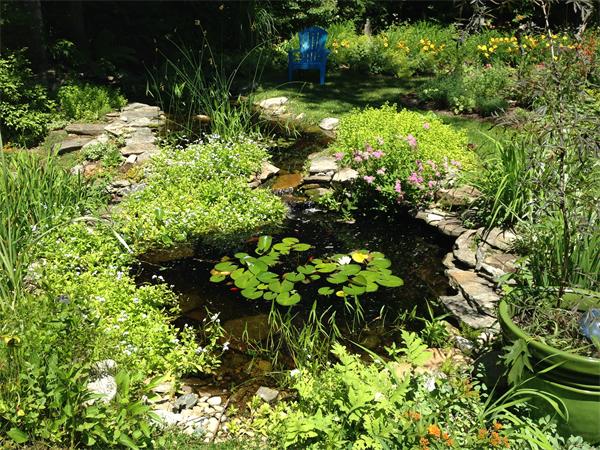 387 Montague Road Shutesbury, MA 01072 - Photo 19 of 30 Gallery Image 19