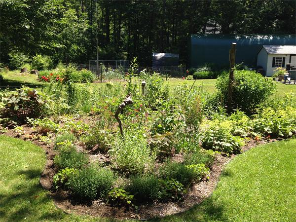 387 Montague Road Shutesbury, MA 01072 - Photo 21 of 30 Gallery Image 21