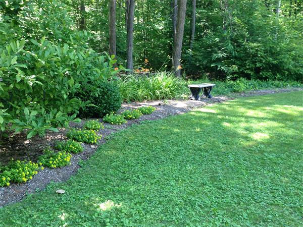 387 Montague Road Shutesbury, MA 01072 - Photo 28 of 30 Gallery Image 28