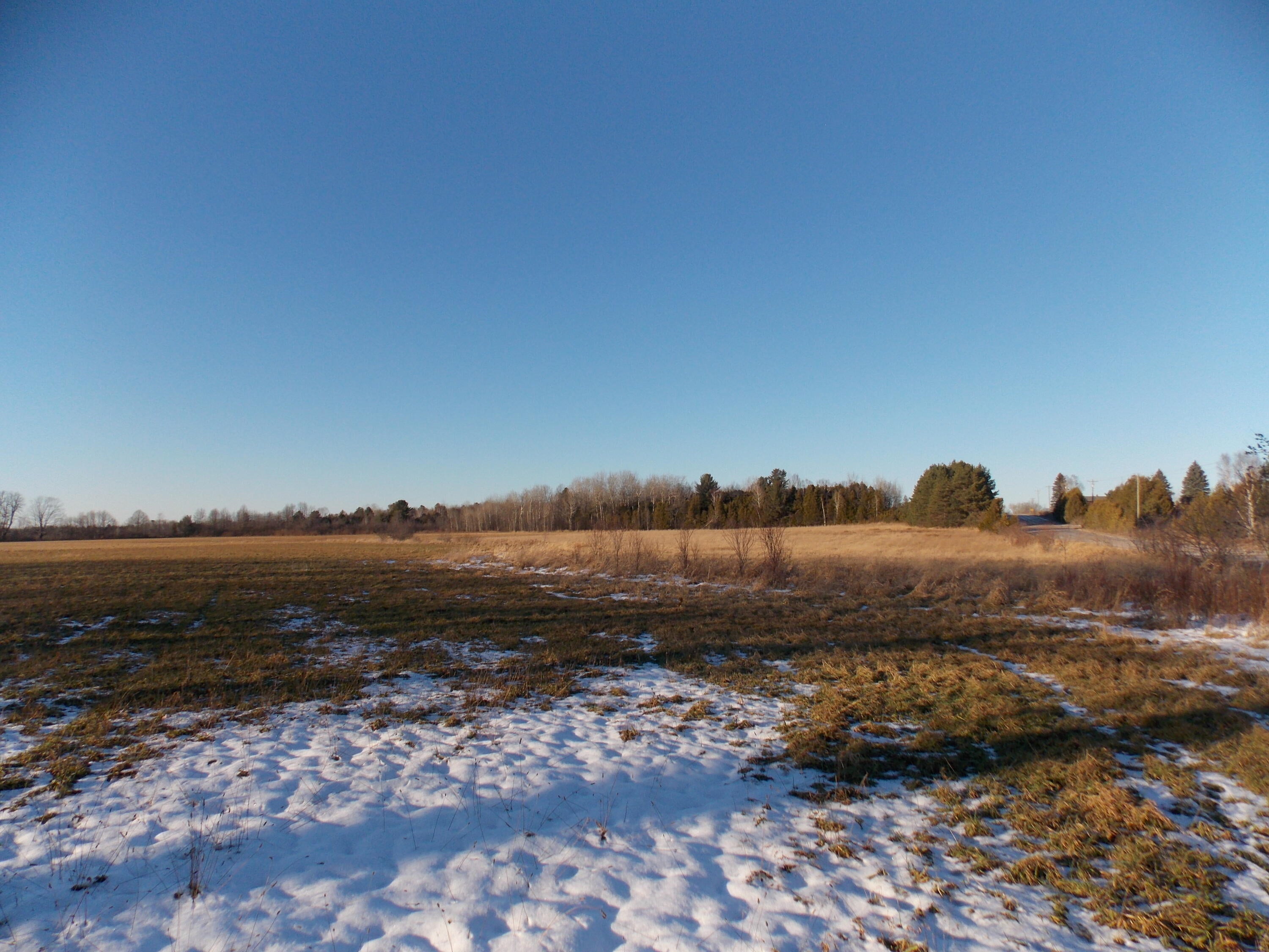 41 Lower Mograin Road Cheboygan, MI 49721 - Photo 4 of 9 Gallery Image 4