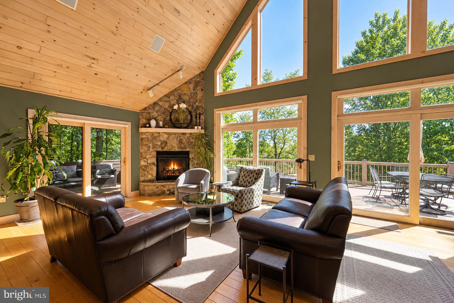 431 Mountaintop Road McHenry, MD 21541 - Photo 11 of 69 Gallery Image 11
