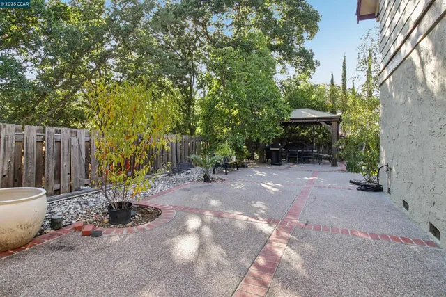 a view of a backyard with plants and trees