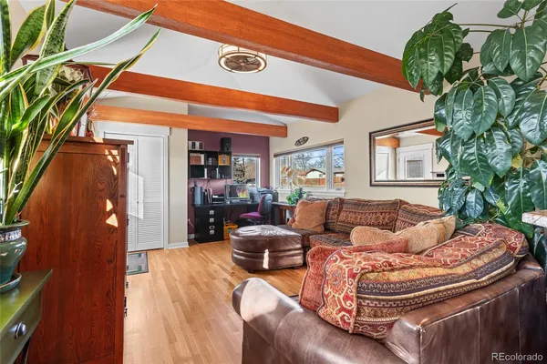 a living room with furniture and a potted plant