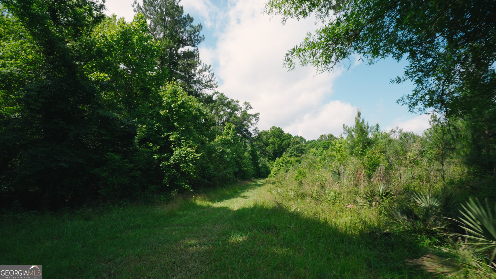 0 East River Road Jacksonville, GA 31544 - Photo 12 of 34 a view of a lake from a yard