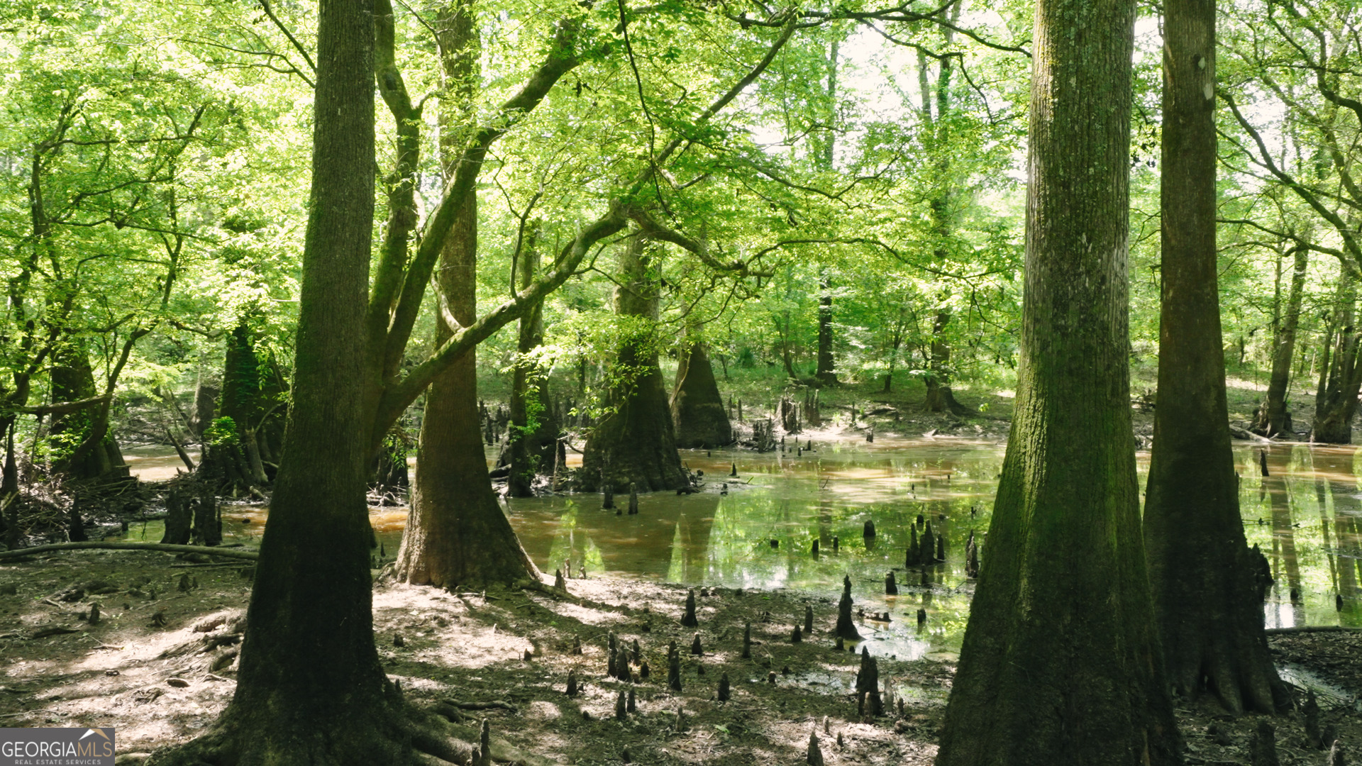 0 East River Road Jacksonville, GA 31544 - Photo 14 of 34 a view of a lake view