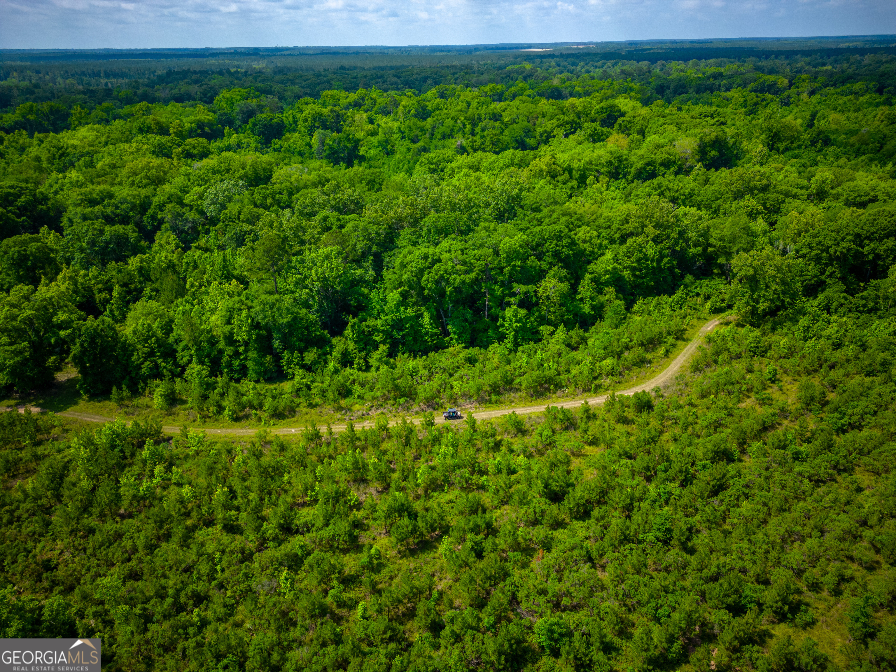 0 East River Road Jacksonville, GA 31544 - Photo 18 of 34 a view of a lush green forest