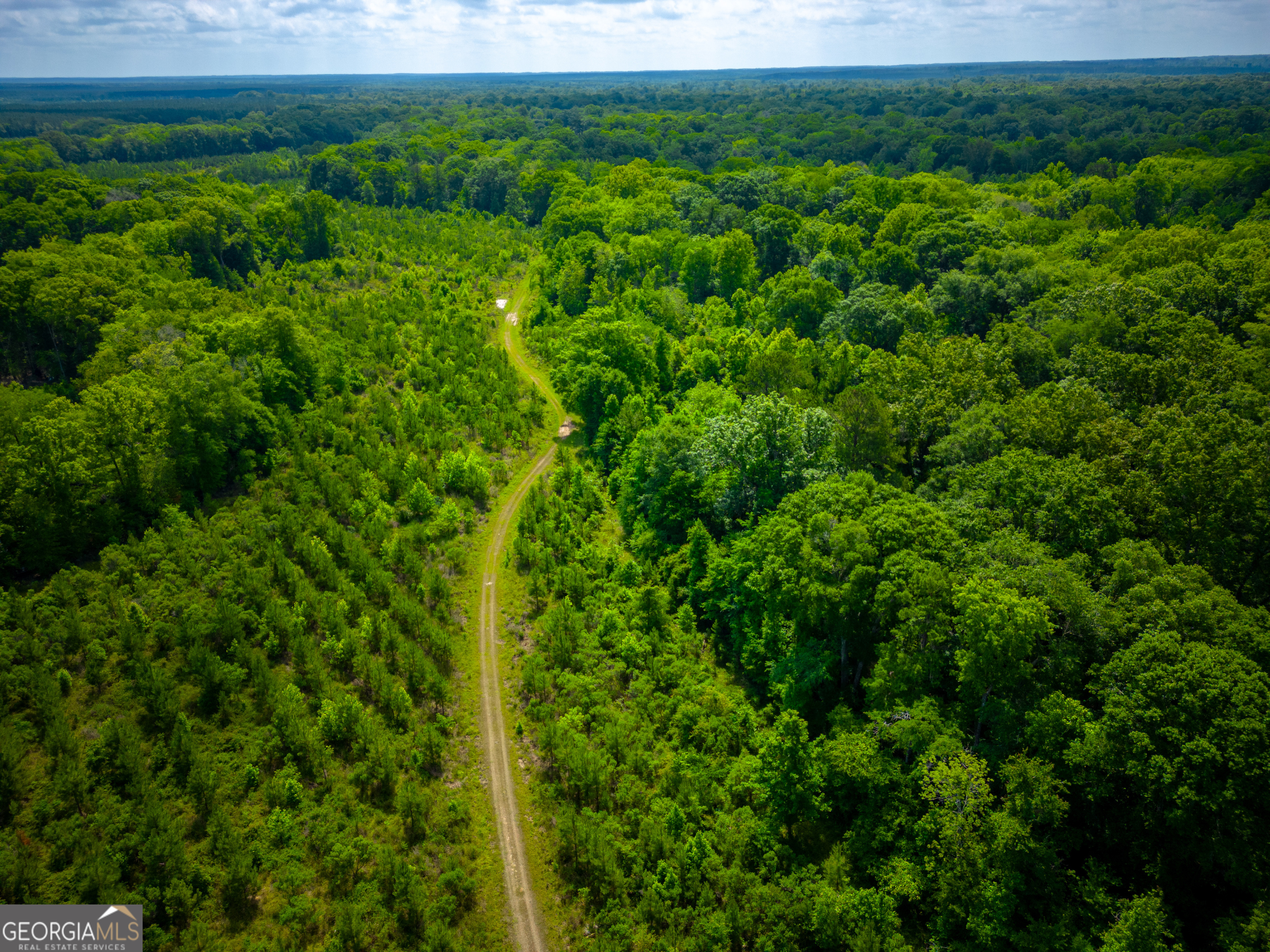 0 East River Road Jacksonville, GA 31544 - Photo 19 of 34 a view of a lush green forest