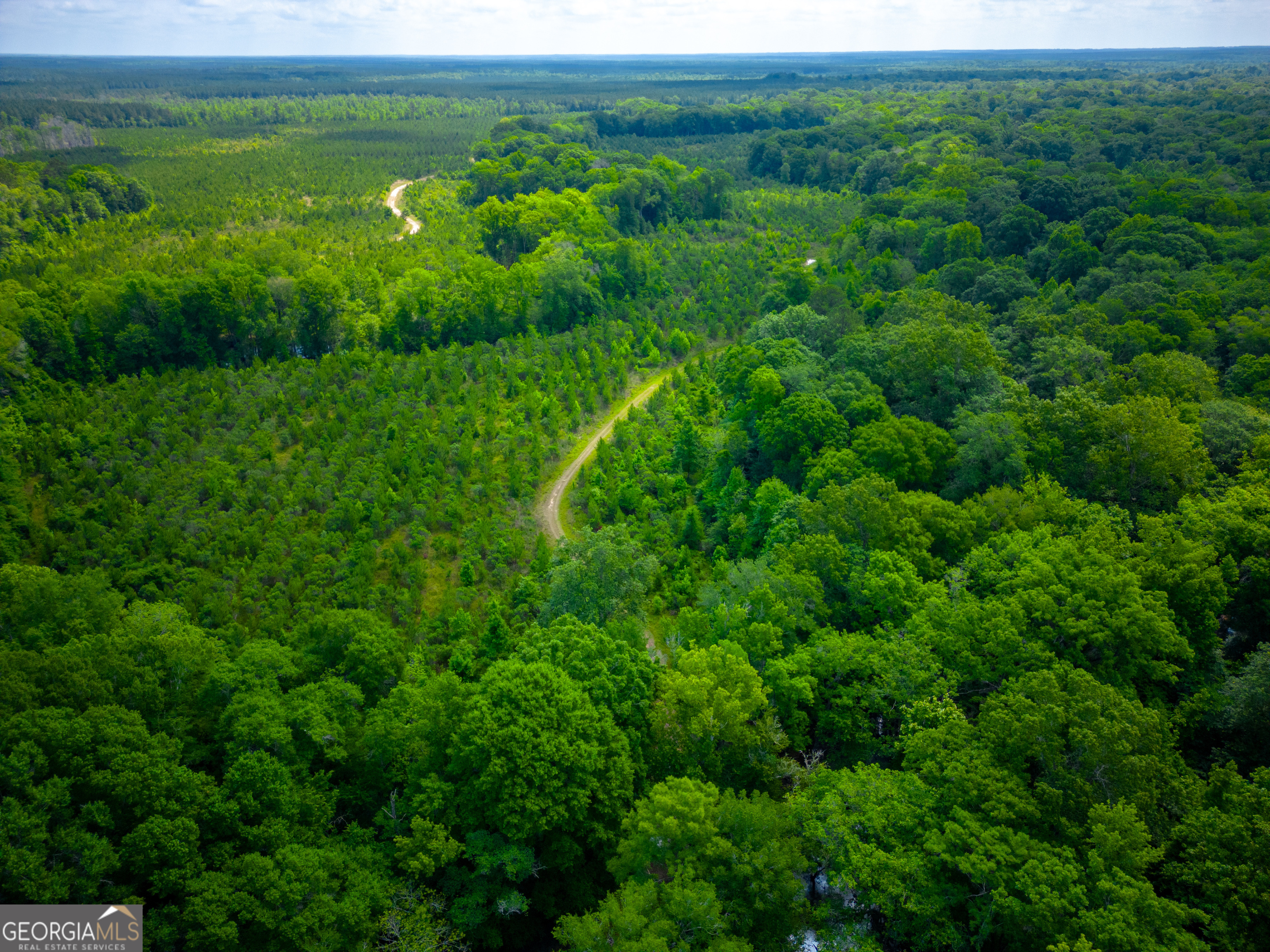 0 East River Road Jacksonville, GA 31544 - Photo 2 of 34 a view of a lush green forest