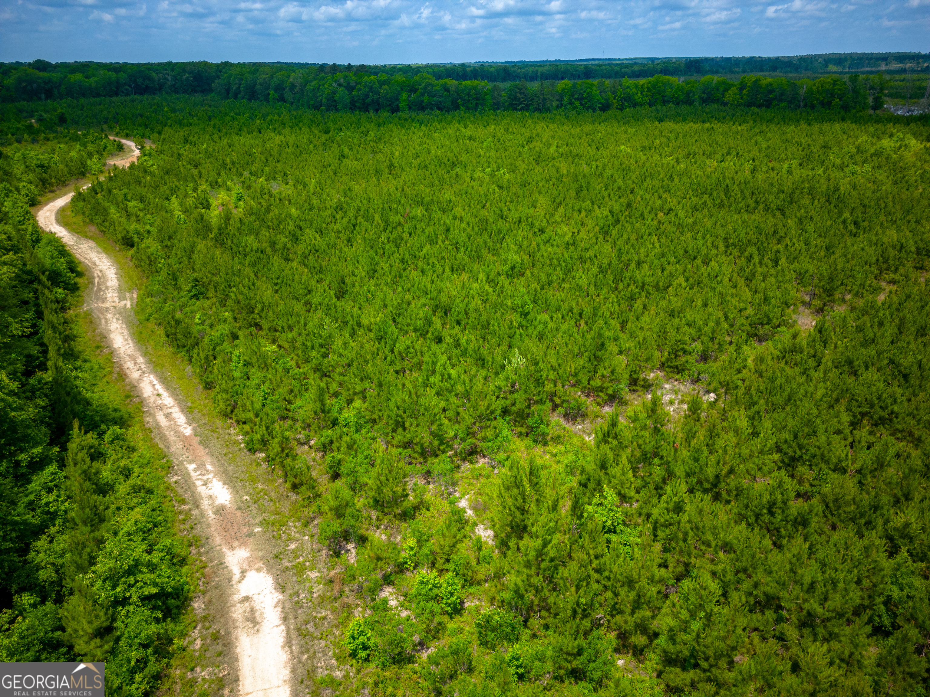0 East River Road Jacksonville, GA 31544 - Photo 22 of 34 a view of a garden with a plant