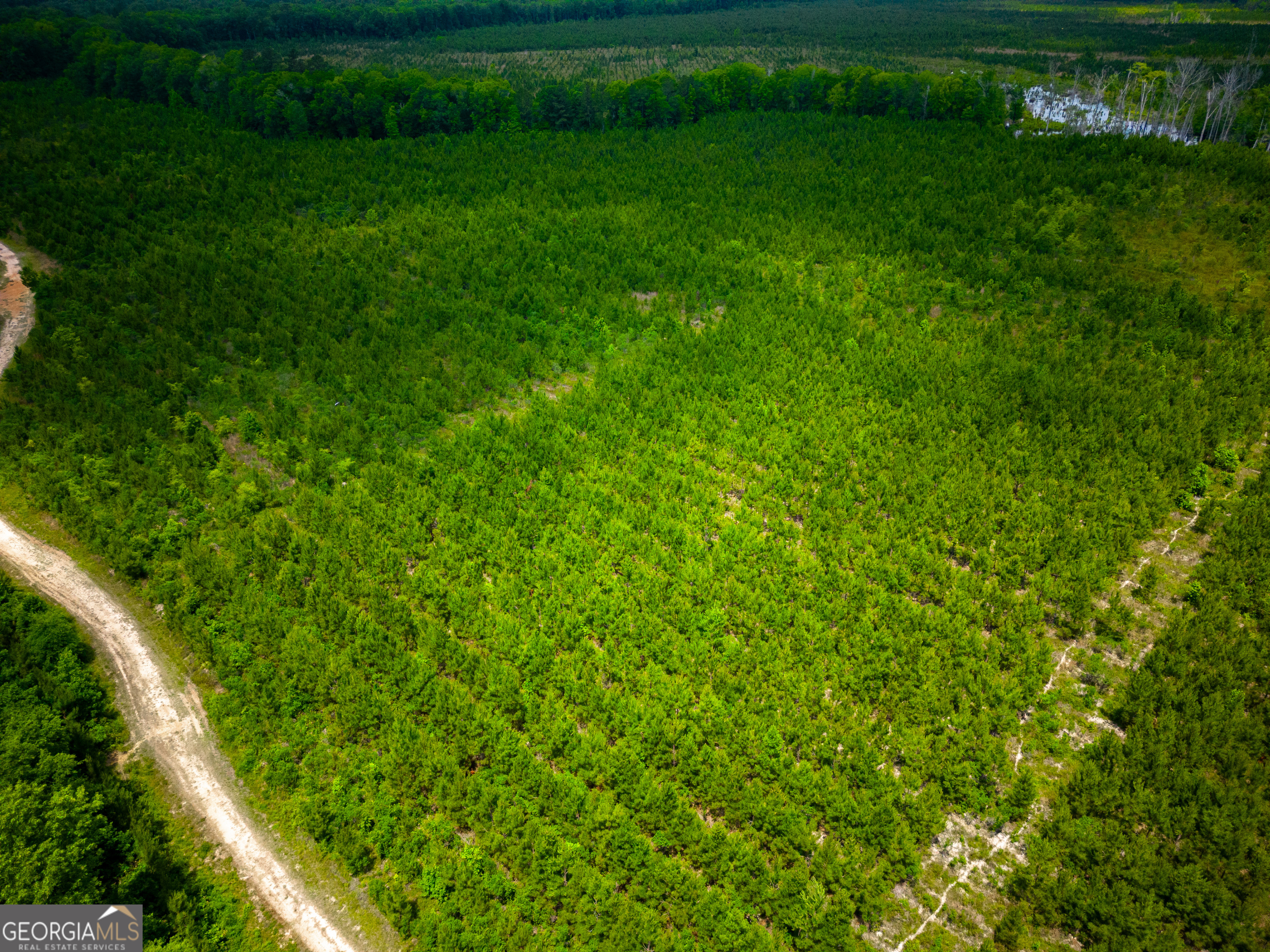 0 East River Road Jacksonville, GA 31544 - Photo 23 of 34 a view of a yard with plants and large trees