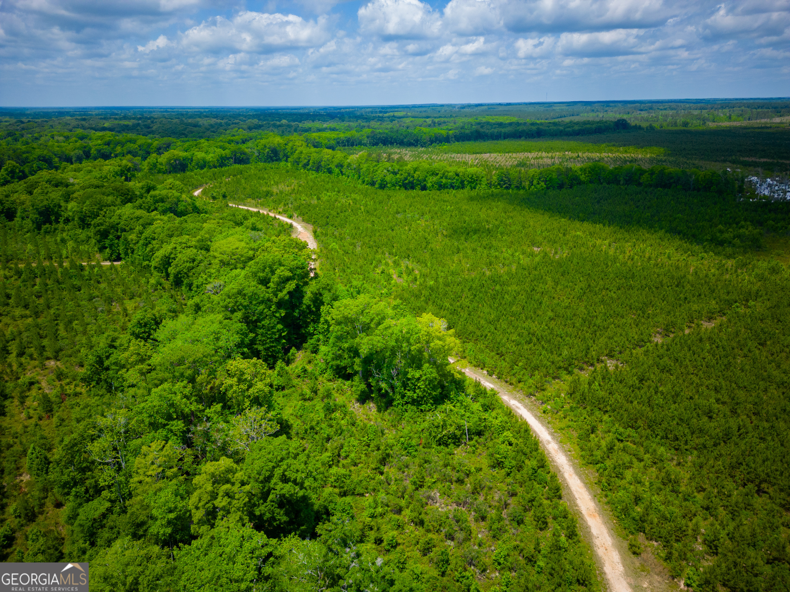 0 East River Road Jacksonville, GA 31544 - Photo 24 of 34 a view of outdoor space and yard