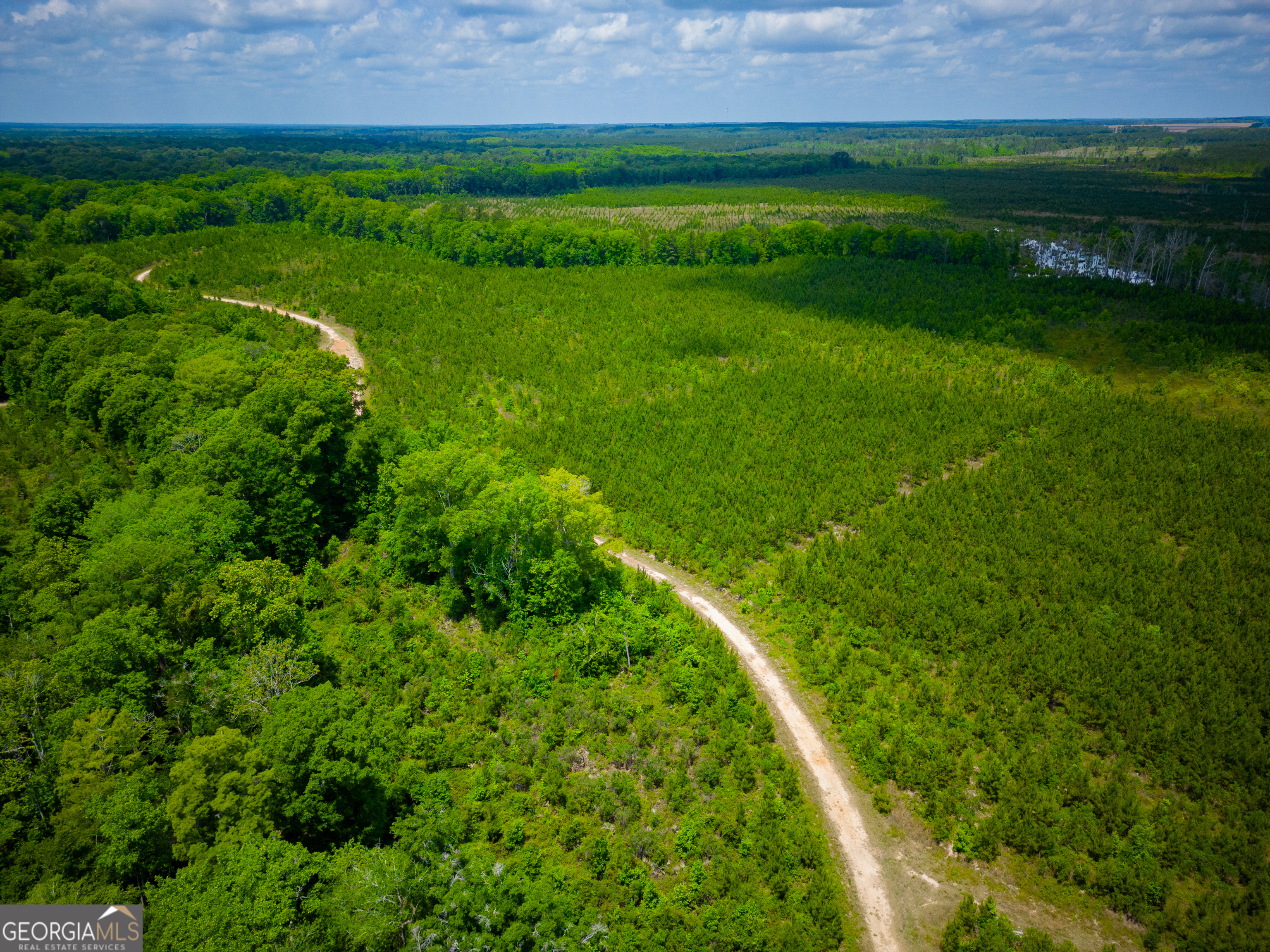 0 East River Road Jacksonville, GA 31544 - Photo 25 of 34 a view of a golf course with a lake