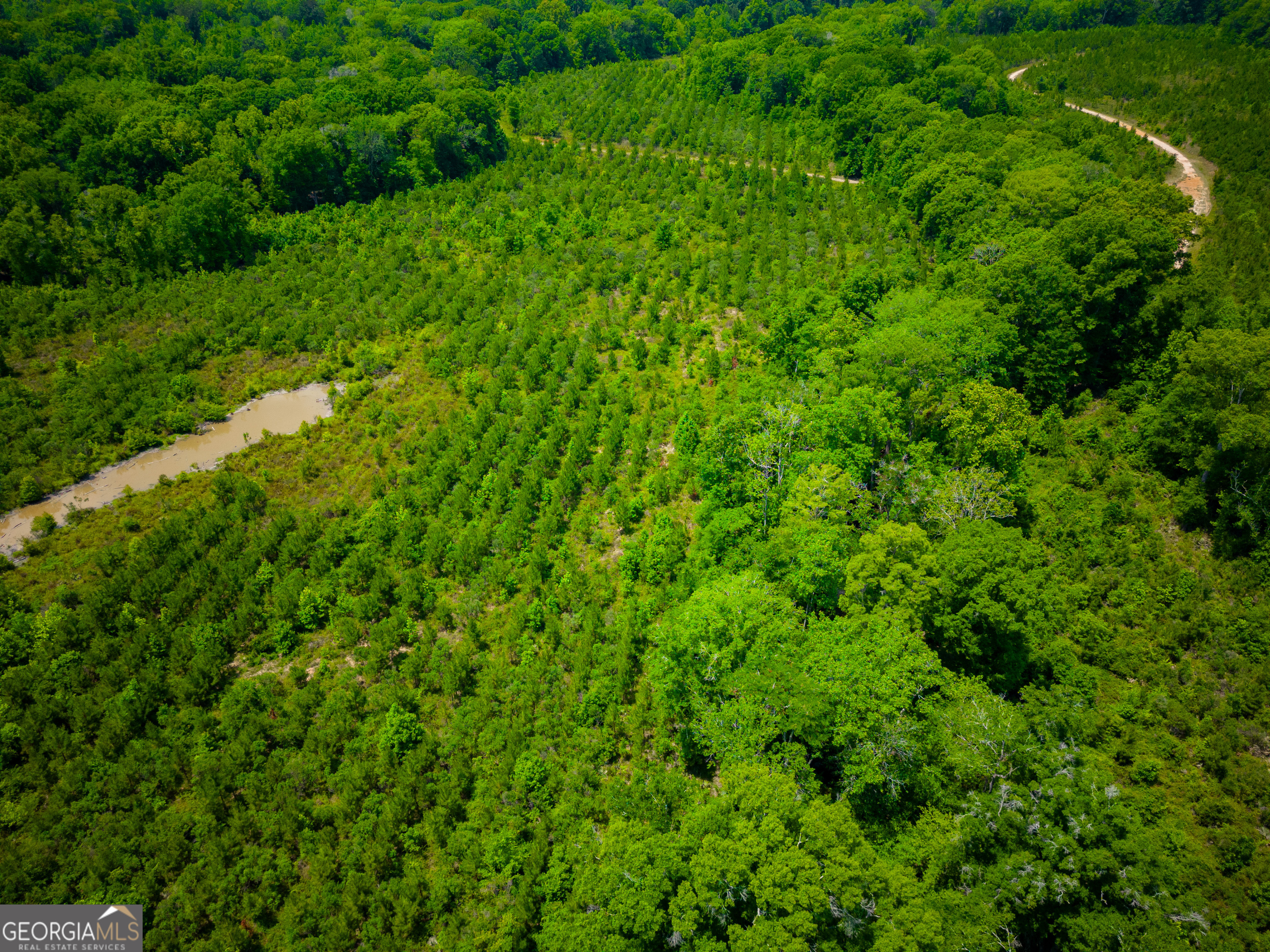 0 East River Road Jacksonville, GA 31544 - Photo 26 of 34 a view of a lush green forest