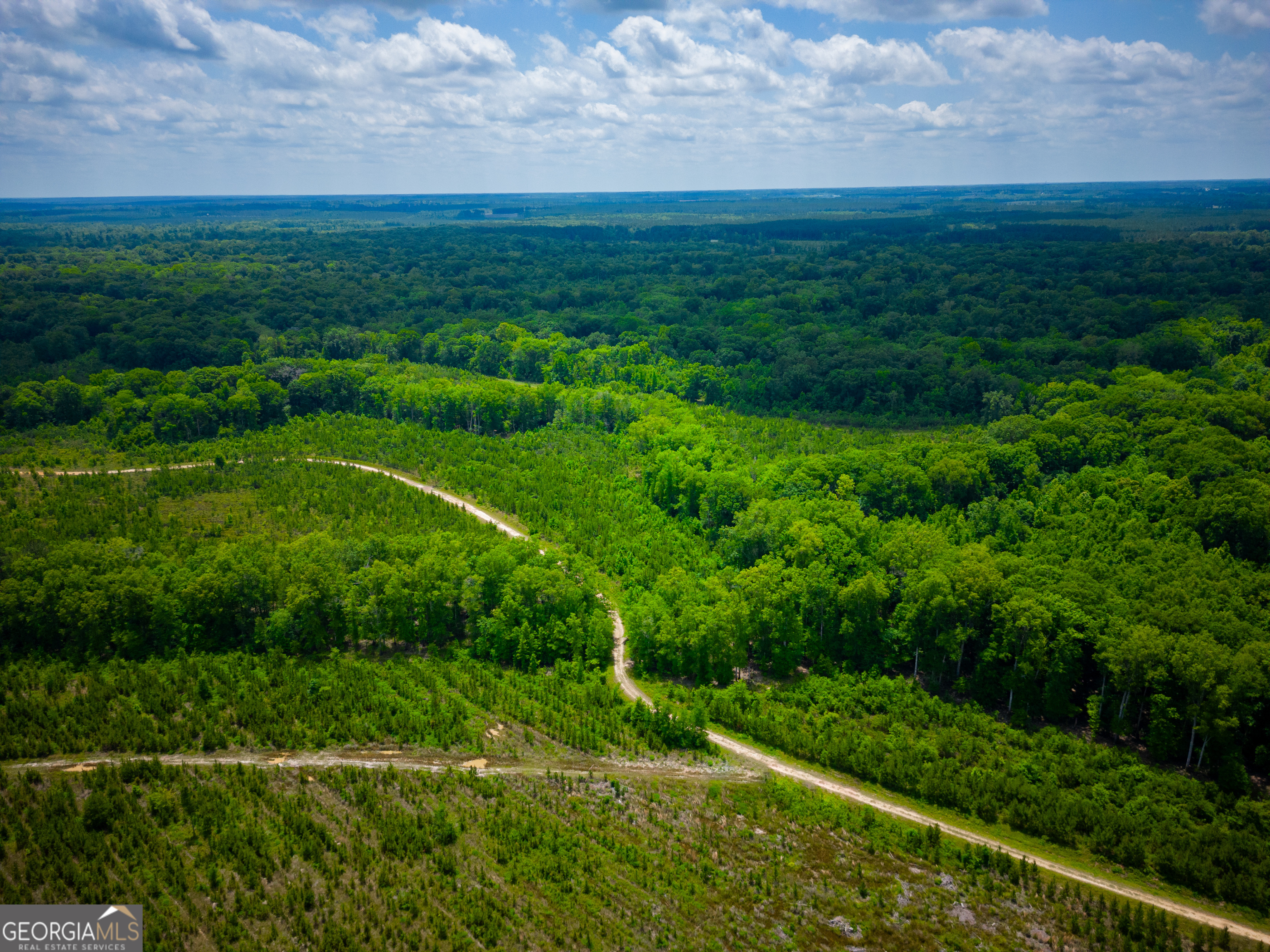 0 East River Road Jacksonville, GA 31544 - Photo 27 of 34 a view of a big yard with potted plants and big trees