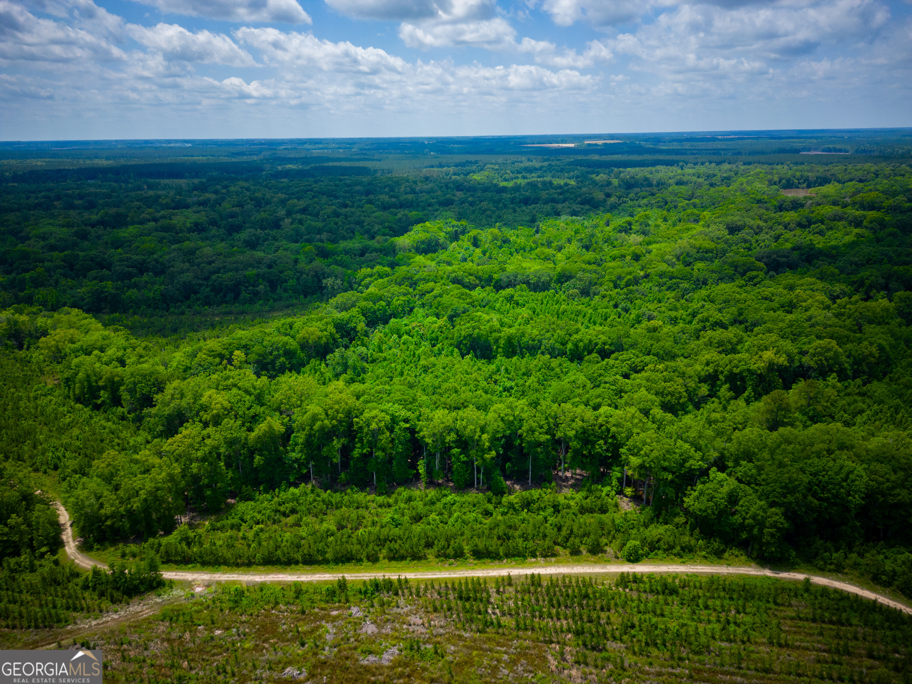 0 East River Road Jacksonville, GA 31544 - Photo 28 of 34