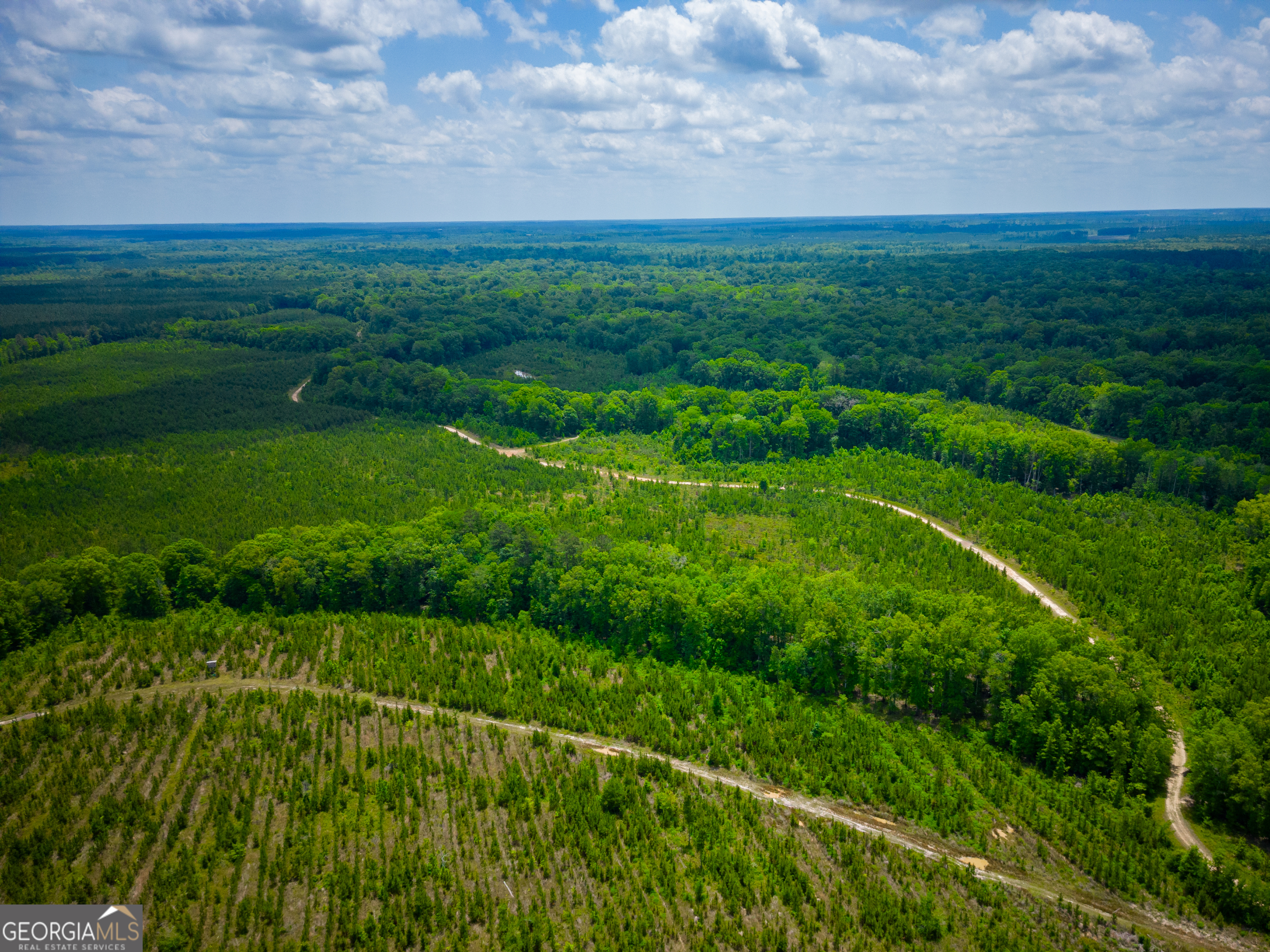 0 East River Road Jacksonville, GA 31544 - Photo 29 of 34 a view of a lush green space