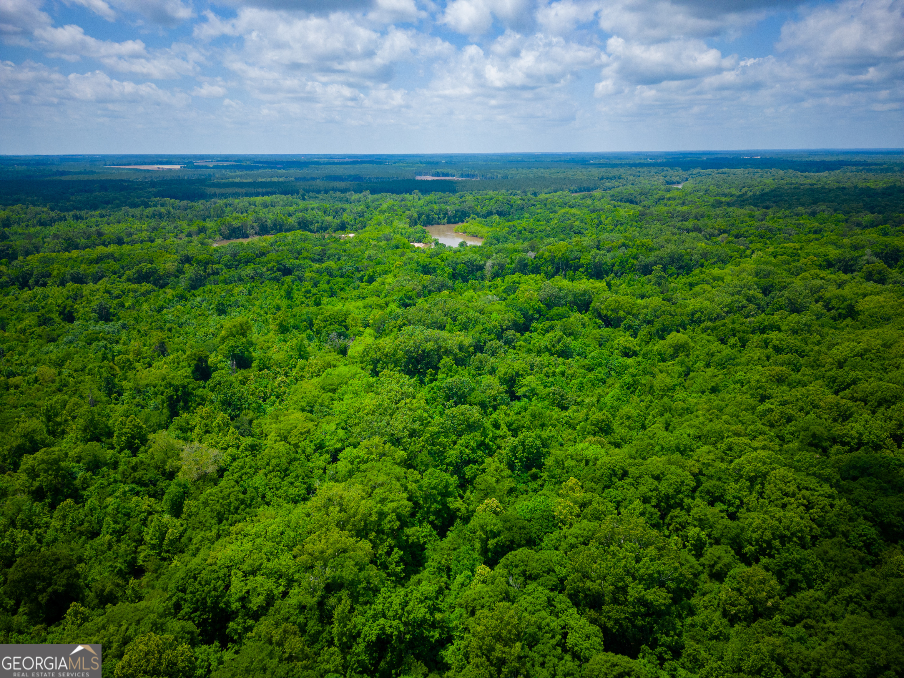 0 East River Road Jacksonville, GA 31544 - Photo 30 of 34 a view of a field with an outdoor space