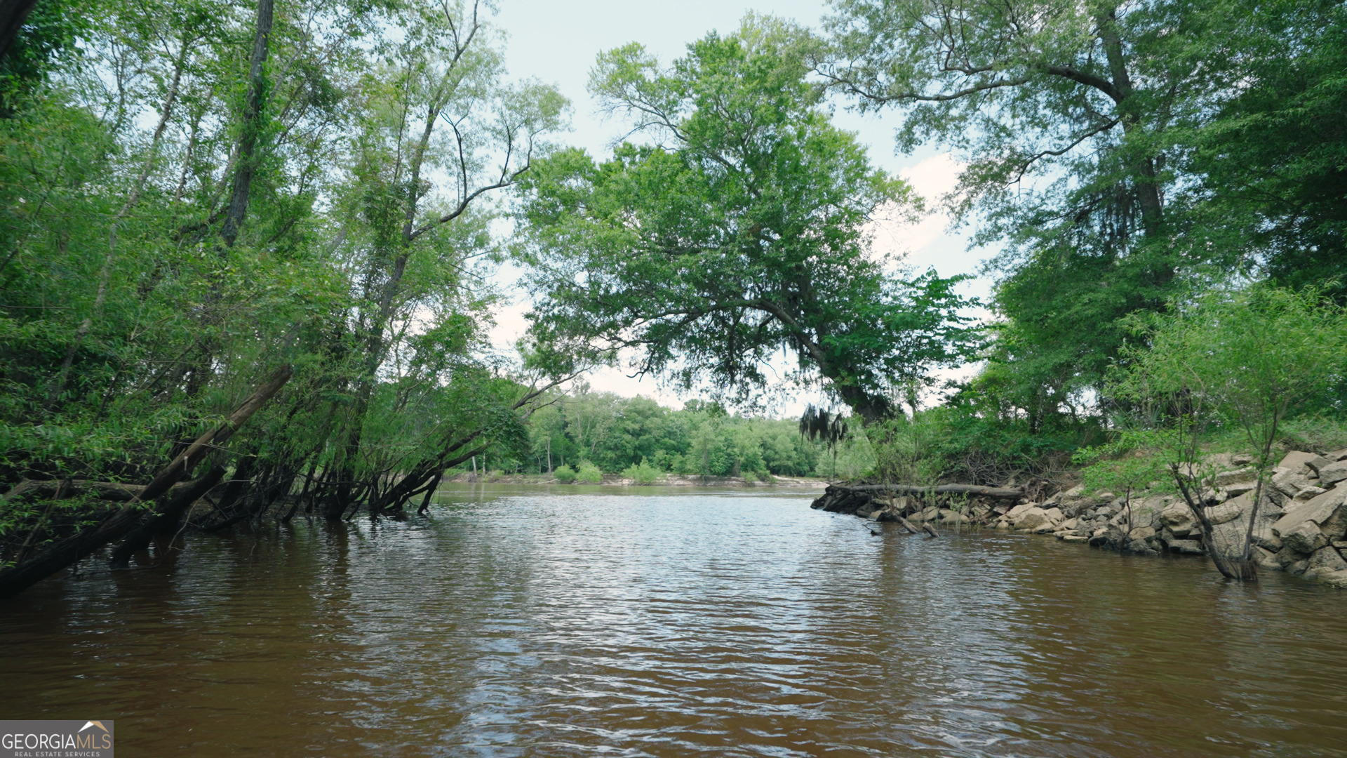 0 East River Road Jacksonville, GA 31544 - Photo 3 of 34 a view of lake