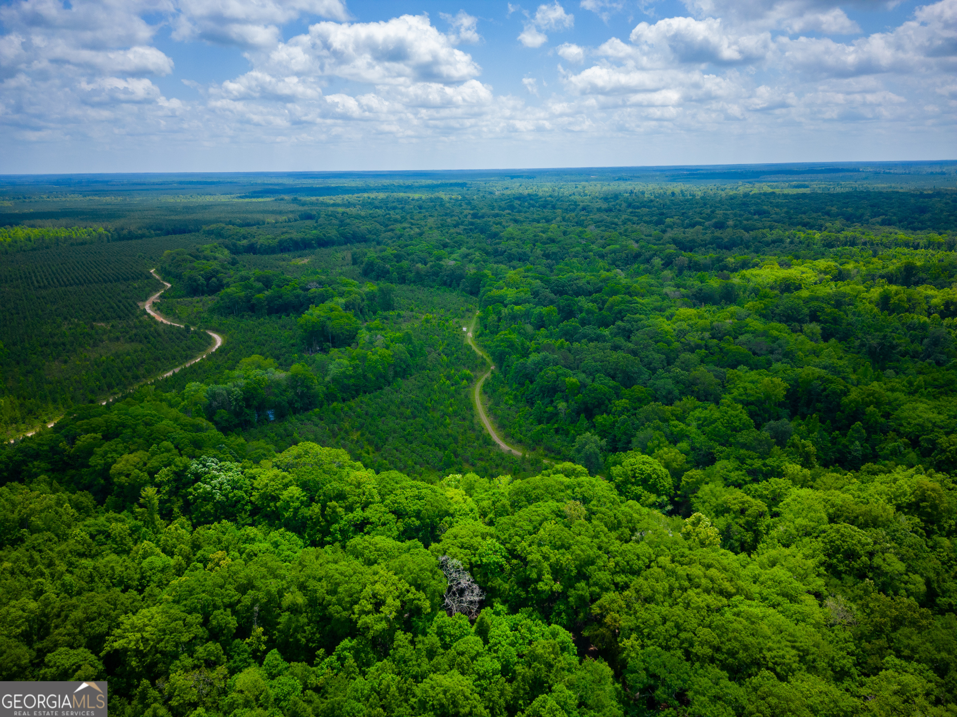 0 East River Road Jacksonville, GA 31544 - Photo 31 of 34 a view of a field with an outdoor space
